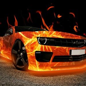 Meet your Posher, Noe